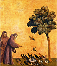 Franziskus predigt zu den Vögeln (Giotto di Bondone)