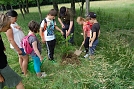 Kinder pflanzen den Baum des Jahres (Foto: Mario Gießler)