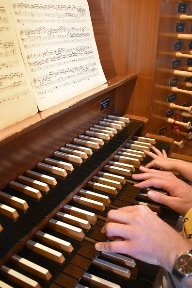Die Orgel der Blasiikirche Nordhausen (Foto: M. Goos)
